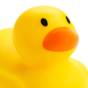 Meet your Posher, Whitney